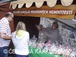 Sousedské slavnosti 2010 - Realitní kancelář perníkových nemovitostí